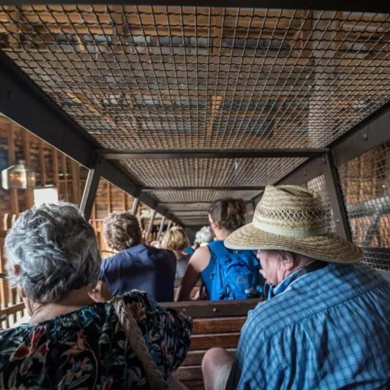 Melbourne: Sovereign Hill and Lake Ballarat Day Trip - Final Thoughts: Who Will Love This Tour?