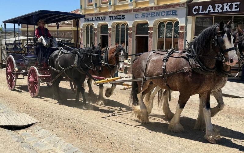 Melbourne Sovereign Hill Gold Rush Full-Day Private Tour - A gold-rush day trip from Melbourne