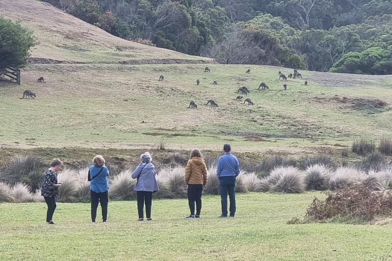 Melbourne Twelve Apostles & Great Ocean Road Full-Day Tour with Wildlife - Apollo Bay is your lunch break, not a catered meal