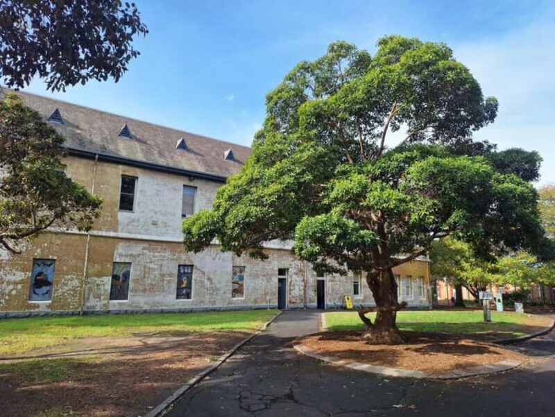 Melbourne: Walk the Yarra to Heritage Abbotsford Convent - Who Will Love This Tour?