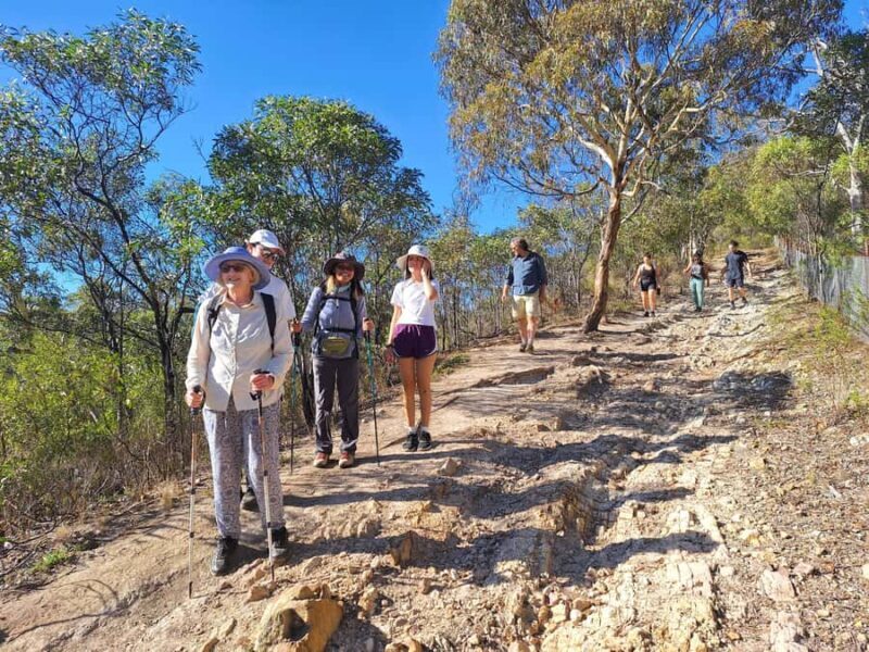 Melbourne: Walk the Yarra to Historic Fairfield Boathouse - Who Should Consider This Tour?