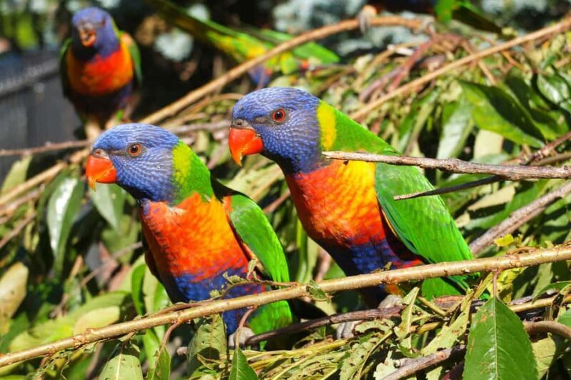 Melbourne: Walk the Yarra to Historic Fairfield Boathouse - Final Thoughts
