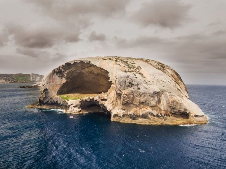 Melbourne: Wilsons Promontory Morning Wilderness Cruise - Wildlife Spotting in Marine National Park