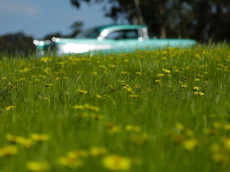 Melbourne: Yarra Valley Food & Wine Tour in a '56 Chevrolet - Cost and Overall Value