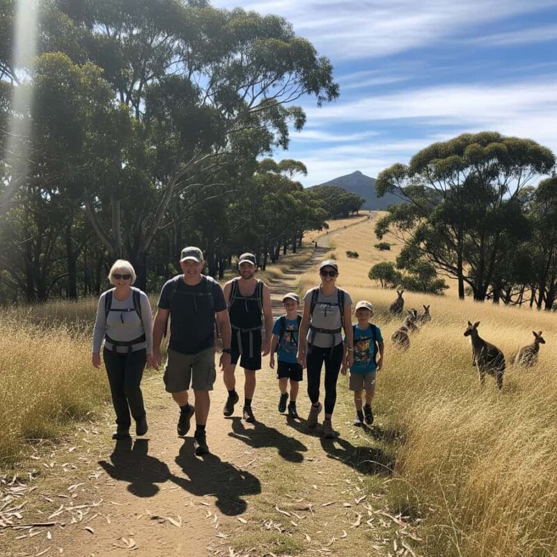 Melbourne: Yarra Valley Hike with Kangaroos & Sunset Picnic - What Makes This Tour Stand Out?