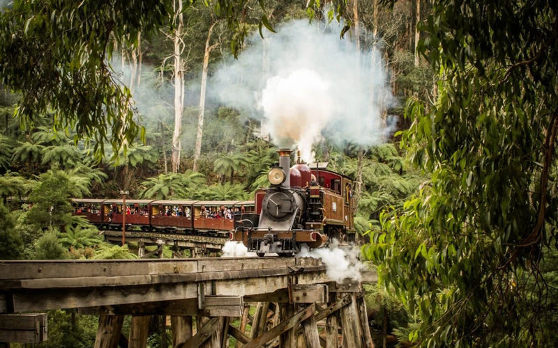 Melbourne Yarra Valley & Puffing Billy Steam Train Day Tour - Should you book it?