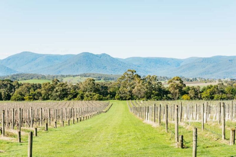 Melbourne: Yarra Valley Wine, Cider, Gin, Beer, & Choc Tour - In Summary