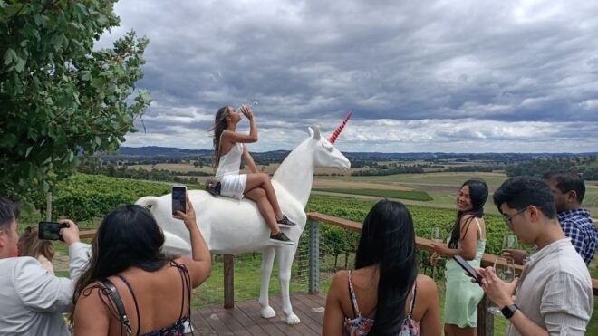 Melbourne: Yarra Valley Wine, Gin, Cheese & Chocolate Tour - Wine Tasting at Soumah of Yarra Valley