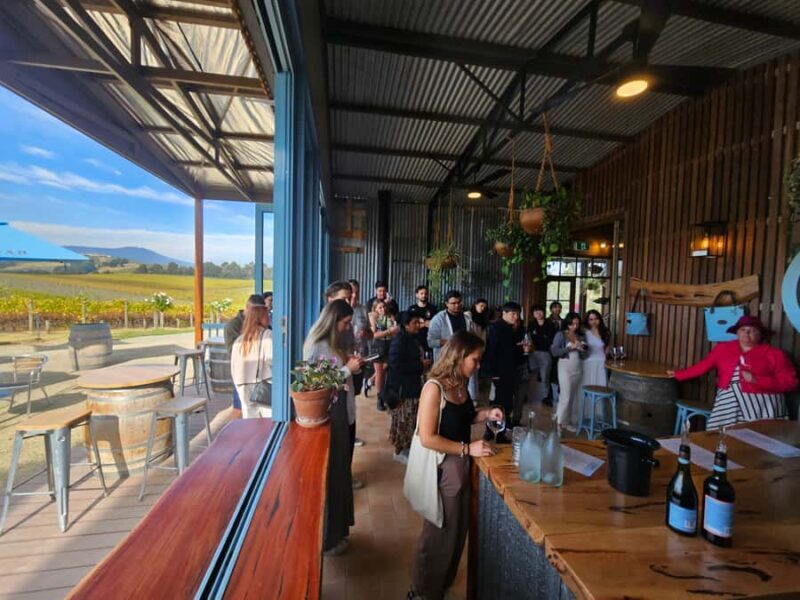 Melbourne: Yarra Valley Wine, Gin, Whisky and Chocolate Tour - An In-Depth Look at the Tour Experience