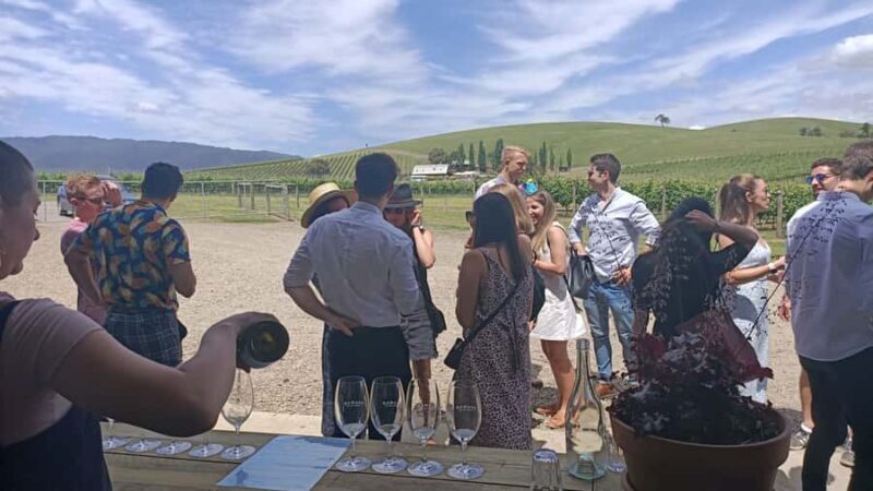 Melbourne: Yarra Valley Wine, Gin, Whisky and Chocolate Tour - Final Thoughts