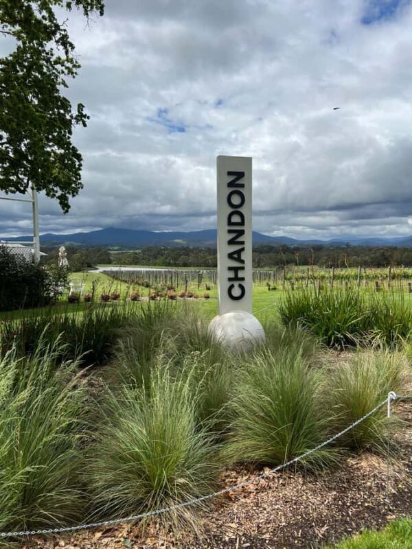 Melbourne: Yarra Valley Wineries Private Day Tour - Good To Know