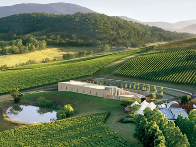 Melbourne Yarra Valley Wineries Private Tour - Four wineries, one private day
