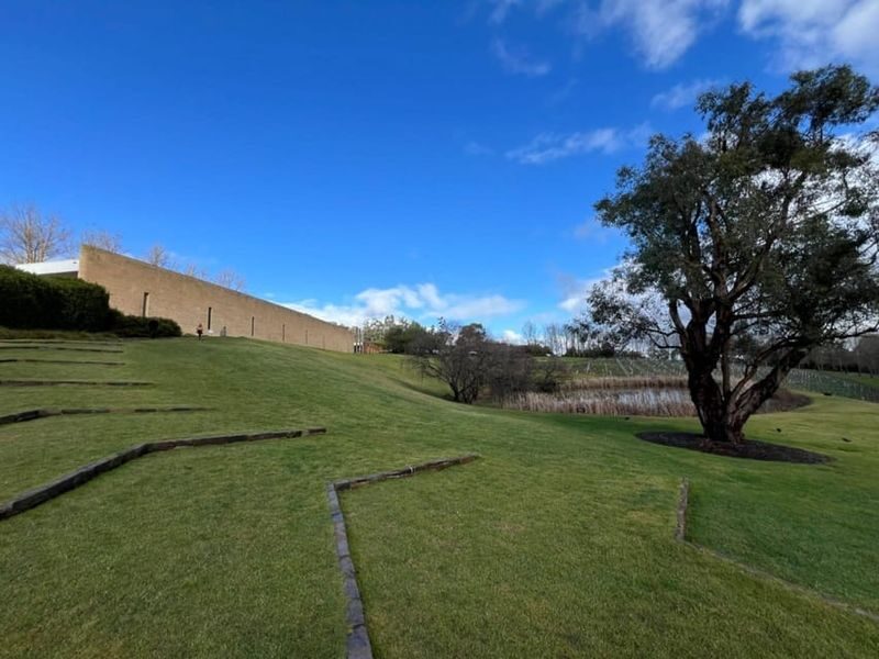 Melbourne Yarra Valley Wineries Private Tour - TarraWarra Estate and Domaine Chandon