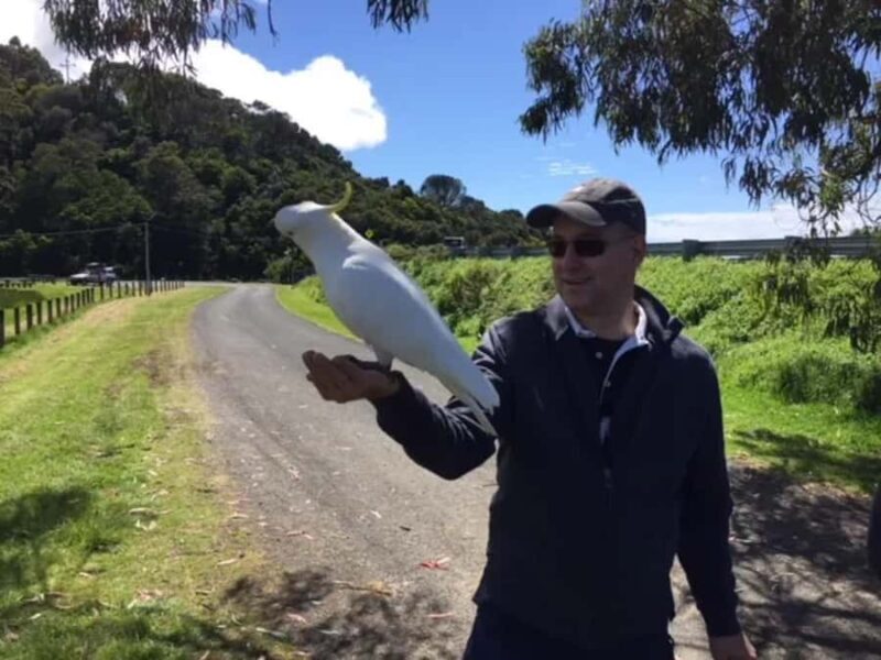 Melbourne: Yarra Valley Winery Private Tour with Lunch - An Honest Look at the Melbourne: Yarra Valley Winery Private Tour with Lunch