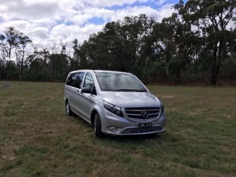 Melbourne: Yarra Valley Winery Private Tour with Lunch - Who Is This Tour Best Suited For?