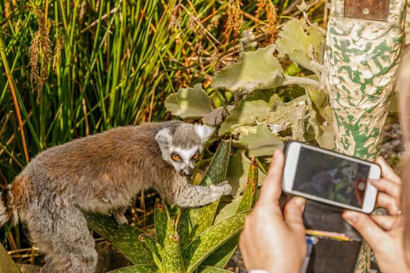 Melbourne Zoo: 1-Day Entry Ticket - The Value of Your Ticket