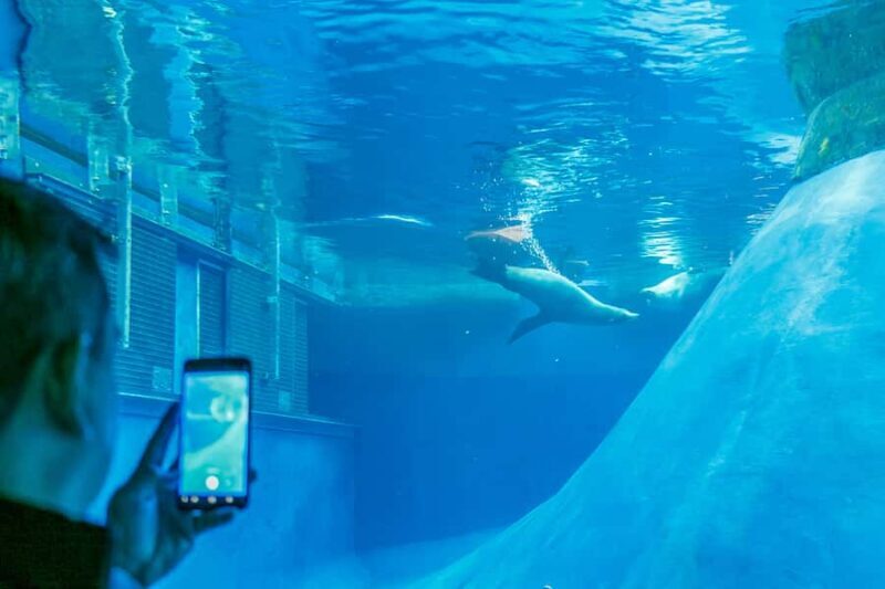 Melbourne Zoo: 1-Day Entry Ticket - Who Is This Experience Best For?