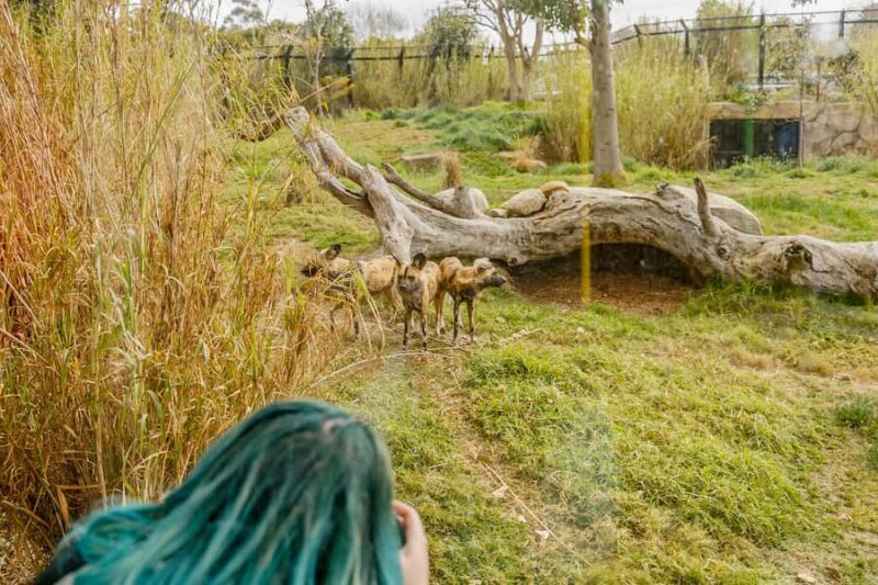 Melbourne Zoo: 1-Day Entry Ticket - Final Thoughts