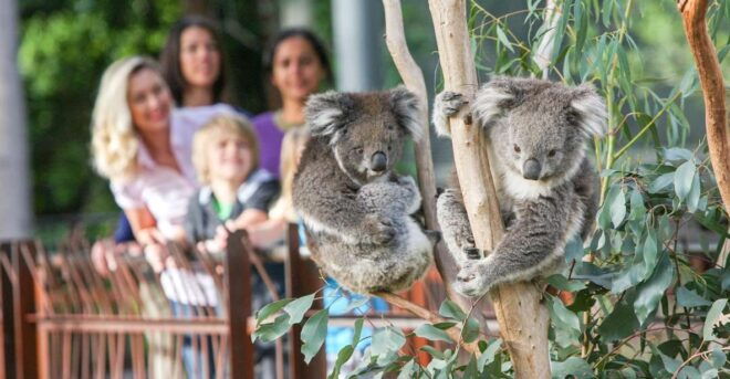 Melbourne: Zoo 1-Day Entry Ticket - Inclusions