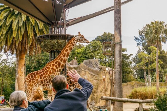 Melbourne: Zoo 1-Day Entry Ticket - Participant and Date Details
