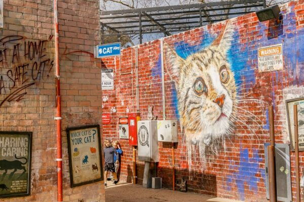 Melbourne: Zoo 1-Day Entry Ticket - Common Questions