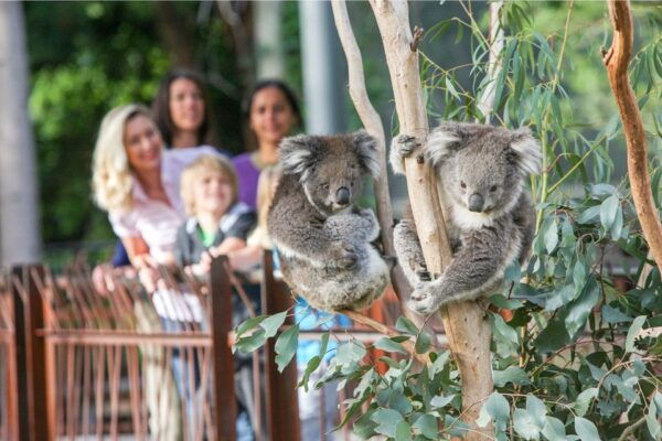 Melbourne: Zoo 1-Day Entry Ticket - The Sum Up