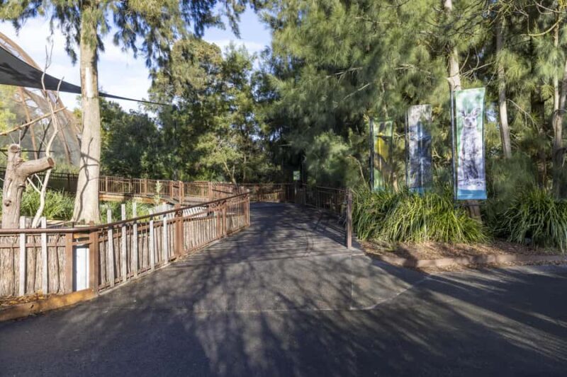 Melbourne Zoo: Australian Wildlife Experience Ticket - Authentic Insights from Reviews