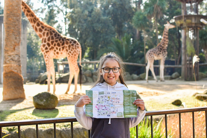 Melbourne Zoo Ticket - What to know before you go