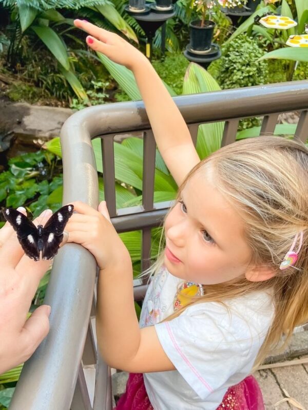 Melbourne Zoo Ticket - Talks, feeding times and the best time to visit