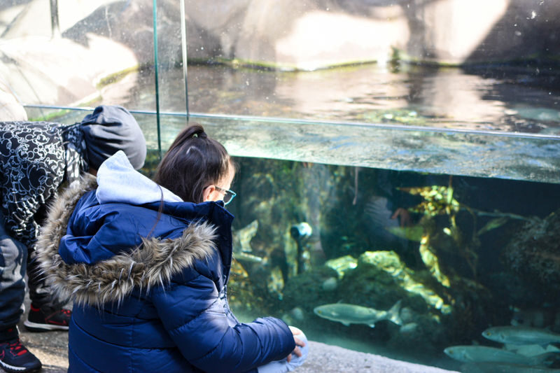 Melbourne Zoo Ticket - Is Melbourne Zoo worth booking?