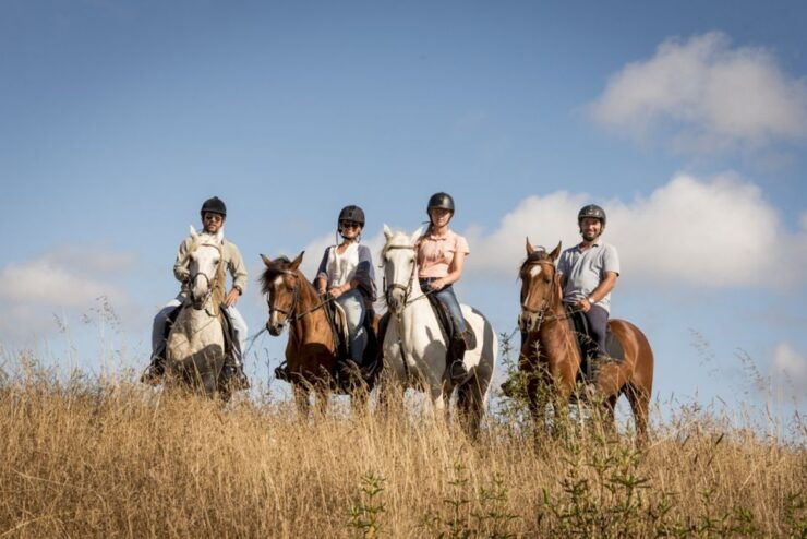 Melides: Horse Riding on the Beach With Wine Tasting - Experience Highlights