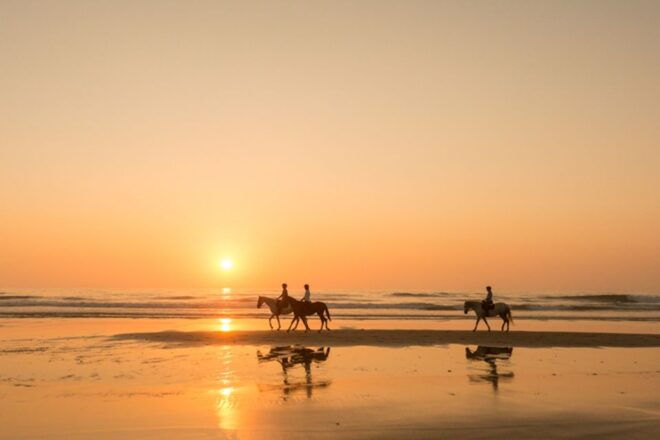 Melides: Horse Riding on the Beach With Wine Tasting - Inclusions