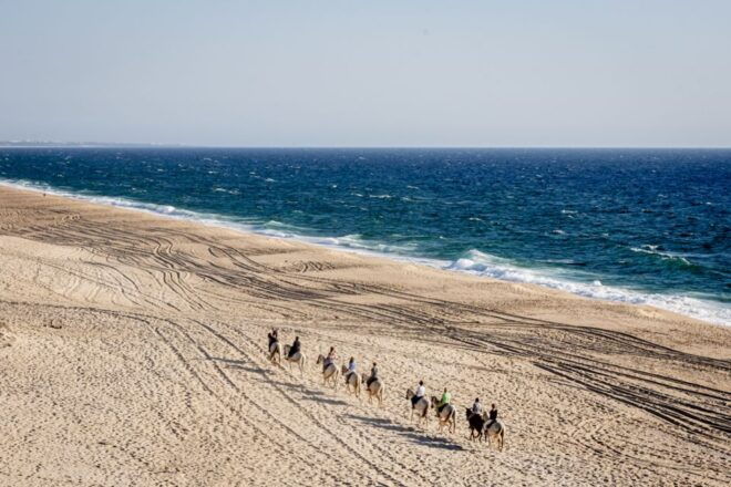 Melides: Horse Riding on the Beach With Wine Tasting - Activity Reviews