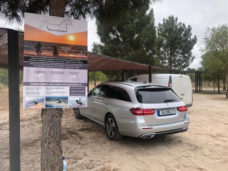 Melides: Horseback Riding on the Beach With Transfer From Lisbon - Activity Details