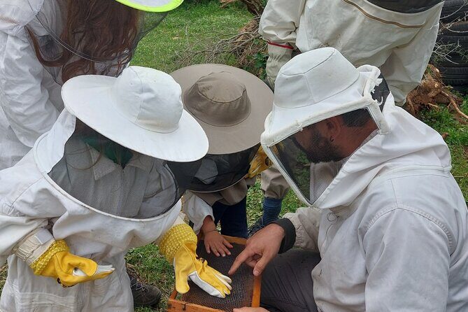 Melissini Beekeeping Experience - FAQ