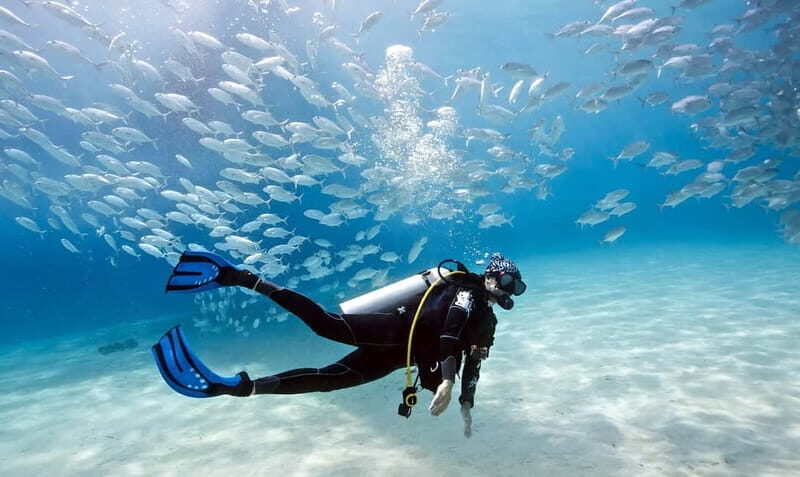 Mellieha: Introductory Diving Session in the Open Sea - Introduction