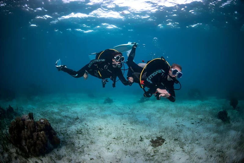 Mellieha: Introductory Diving Session in the Open Sea - Who Should Consider This Experience?