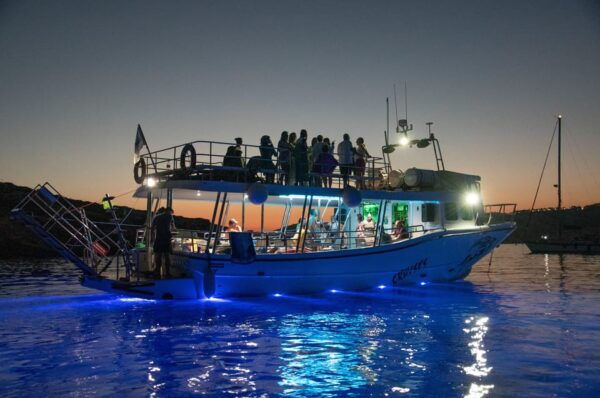 Mellieha: Two Bay Evening Cruise Including The Blue Lagoon - Language and Accessibility