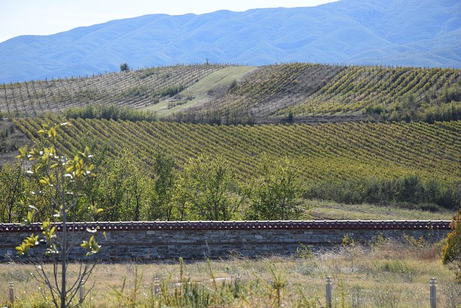 Melnik Wine Tasting Tour From Sofia - Frequently Asked Questions