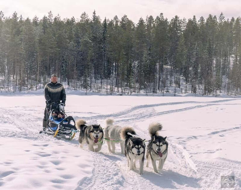 Meltosjärvi: Self Driving Husky Tour - Lake Trail Experience - After the Ride: Warmth and Connection