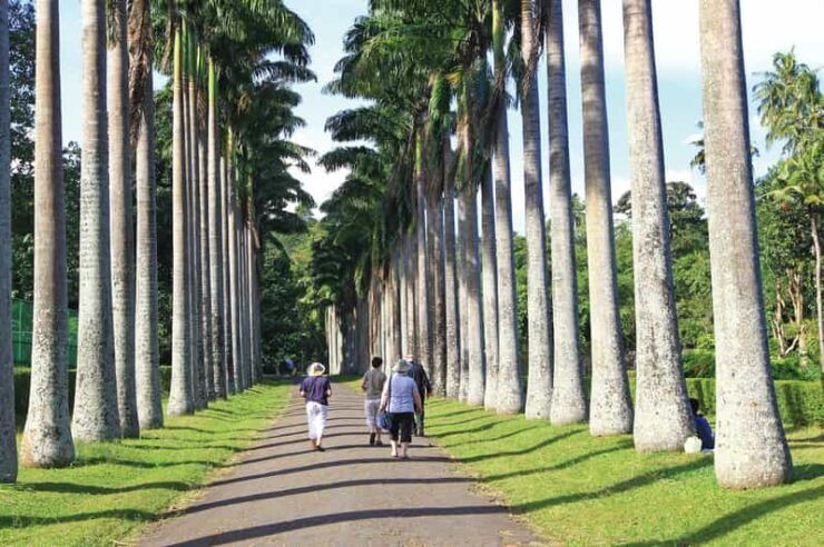 Memorable City Tour of Kandy - Key Attractions
