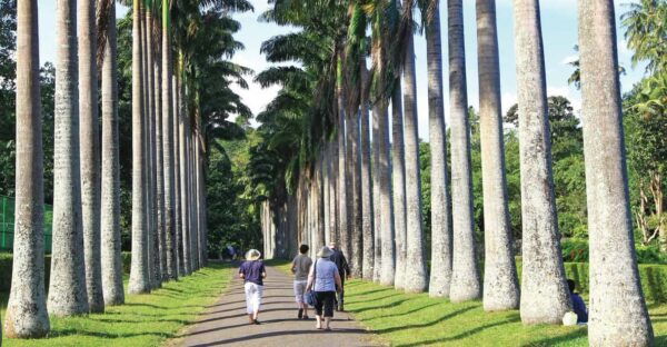 Memorable City Tour of Kandy - Frequently Asked Questions