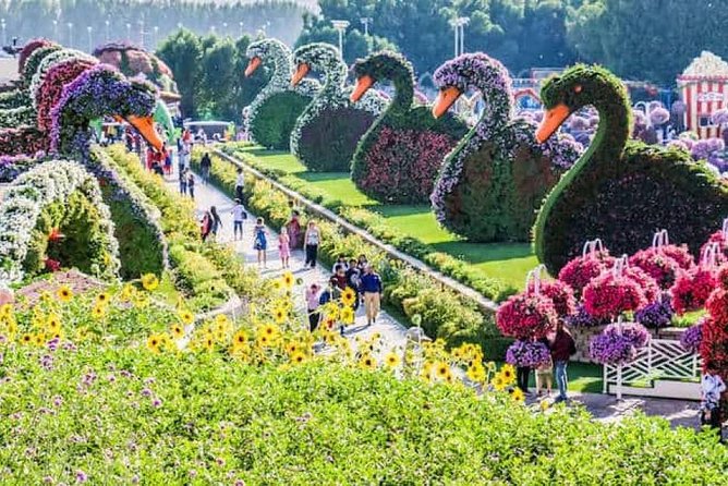 Memorable Evening at Dubai Global Village With Dubai Miracle Garden Visit !! - Directions