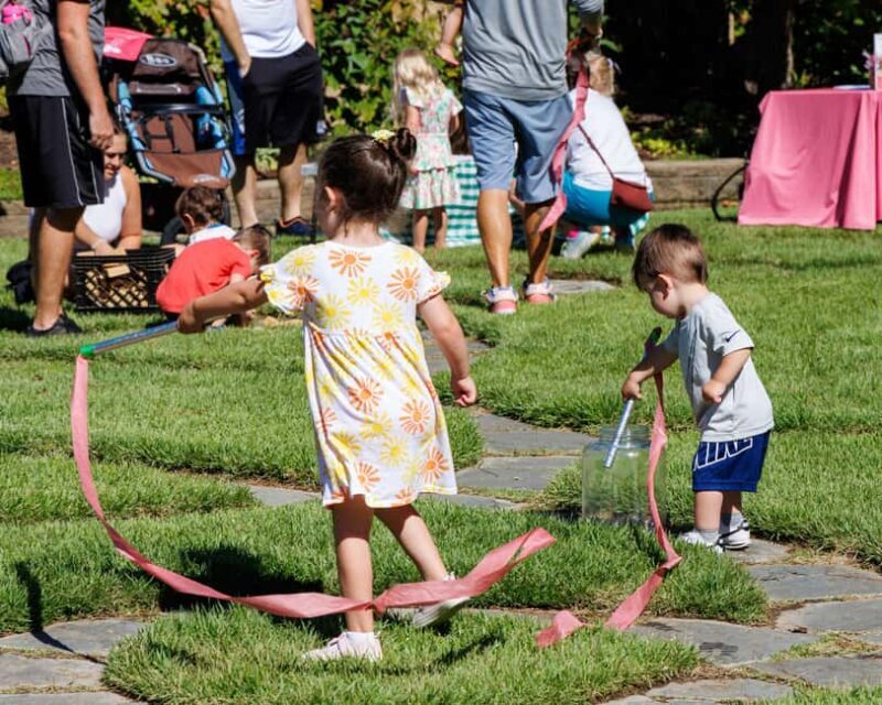 Memphis Botanic Garden Entry Ticket - Good To Know