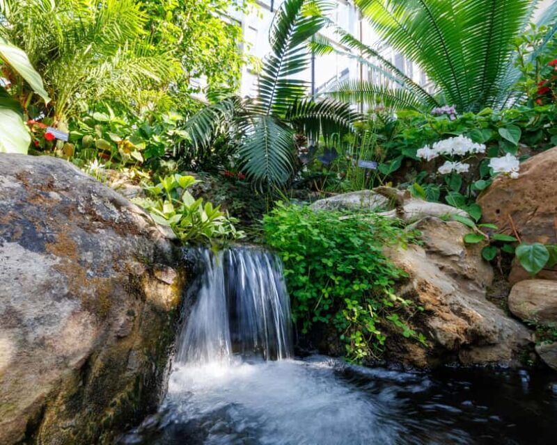 Memphis Botanic Garden Entry Ticket - An In-Depth Look at the Memphis Botanic Garden