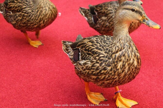 Memphis Music Scene: Private Half-Day Walking Tour - Exploring Memphis’s Musical Roots