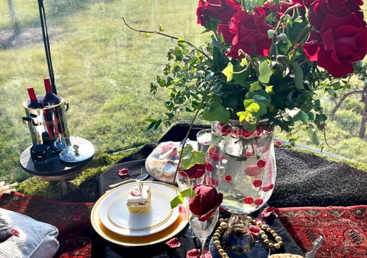 Memphis: Riverside Luxury Picnic on the Mighty Mississippi - Activity Details