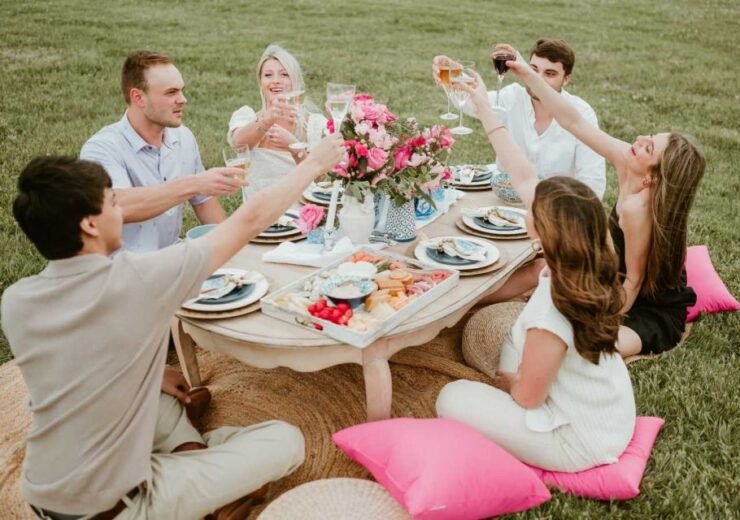 Memphis: Riverside Luxury Picnic on the Mighty Mississippi - Experience