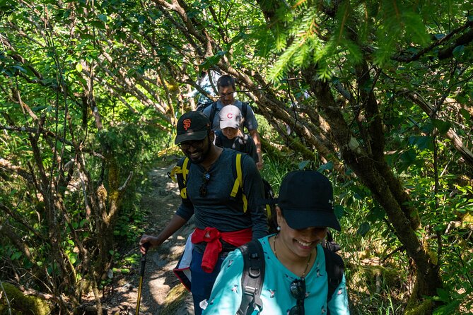 Mendenhall Glacier Guided Hike - Safety Guidelines