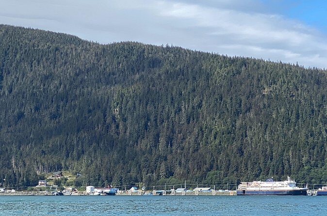 Mendenhall Glacier Waterfall and Whale Watching Tour - FAQs